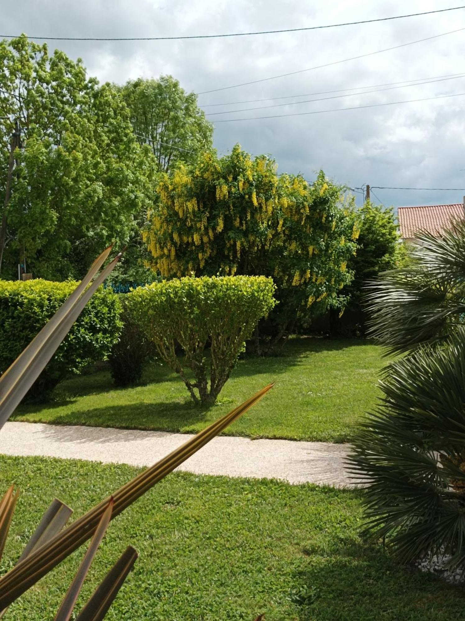 Logis De Lange Studio 2 P Saint-Hilaire-la-Palud Ngoại thất bức ảnh